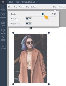 Adjust the opacity effect for images